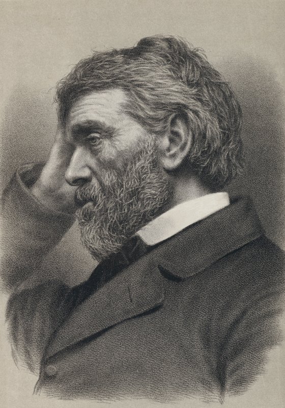Thomas Carlyle (gravura) de English School