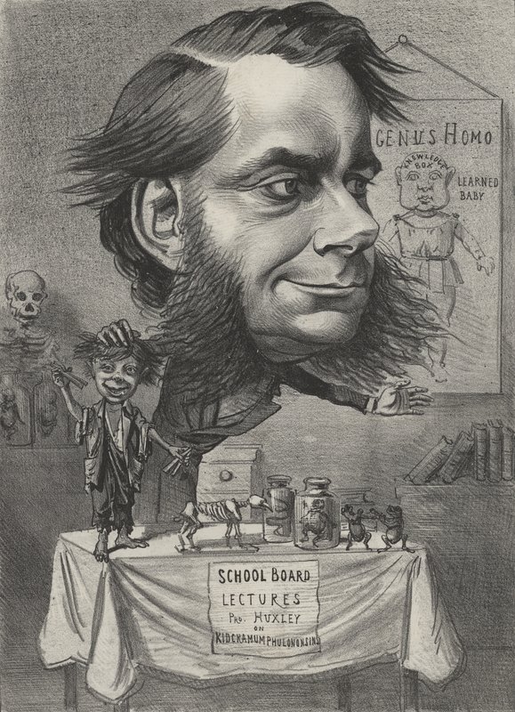 Thomas Henry Huxley, biólogo inglês de English School