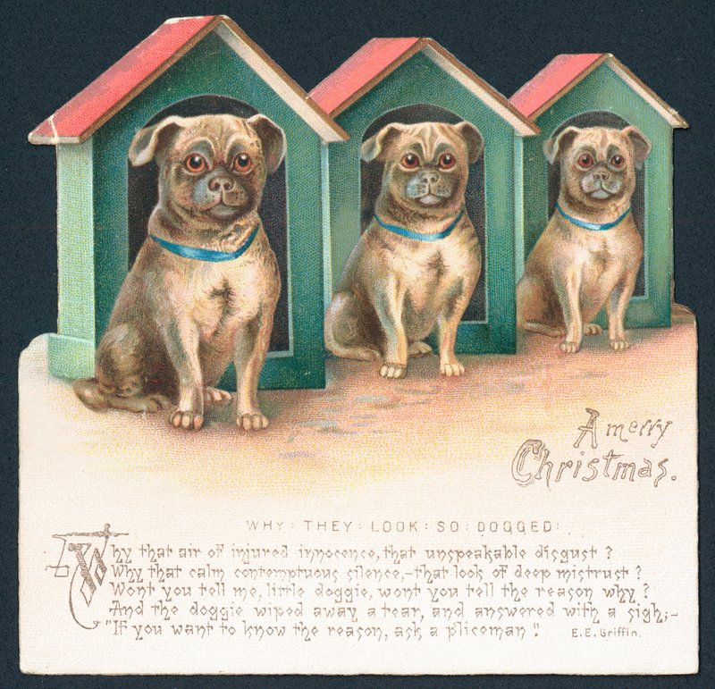Três cães nos canis, cartão de Natal de English School