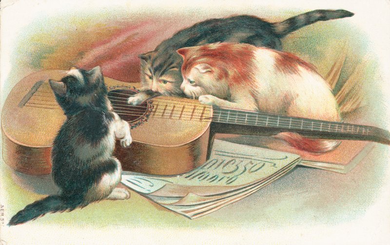 Três gatos brincando com um violão de English School