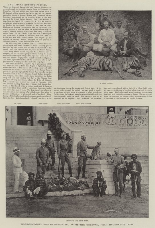 Tiger-Shooting and Deer-Hunting with the Cheetah, perto de Hyderabad, Índia (gravura) de English School