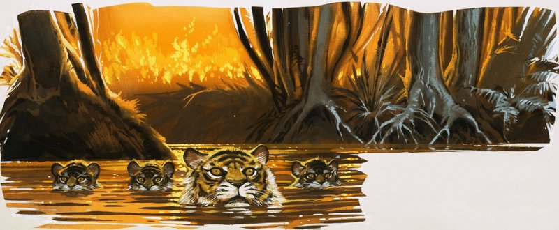 Tigres na água de English School