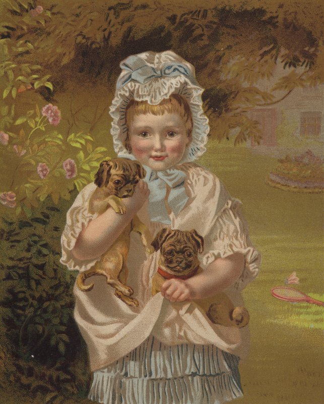 Animais de estimação minúsculos (cromolitho) de English School