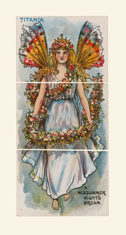 Titania, um sonho das noites de plenos Verões de English School