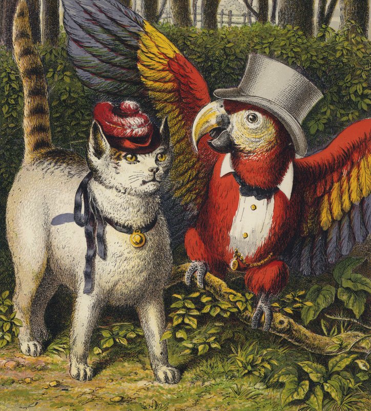 Tittums e Fido (cor litho) de English School