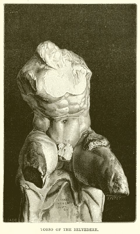 Torso do Belvedere de English School