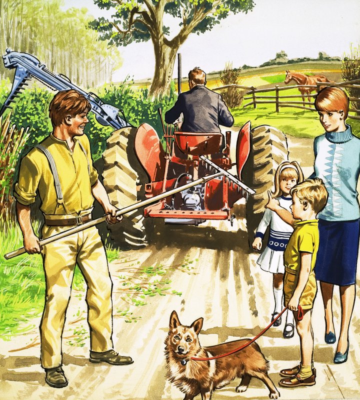 Motorista de trator e cortador de English School