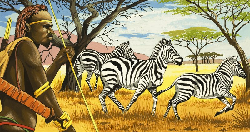Tribo e zebras de English School