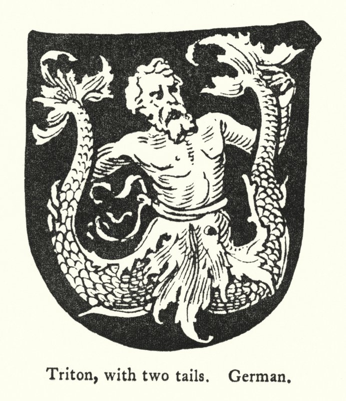 Tritão, com duas caudas, alemão (gravura) de English School