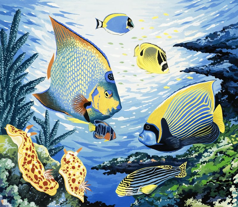 Peixe tropical de English School