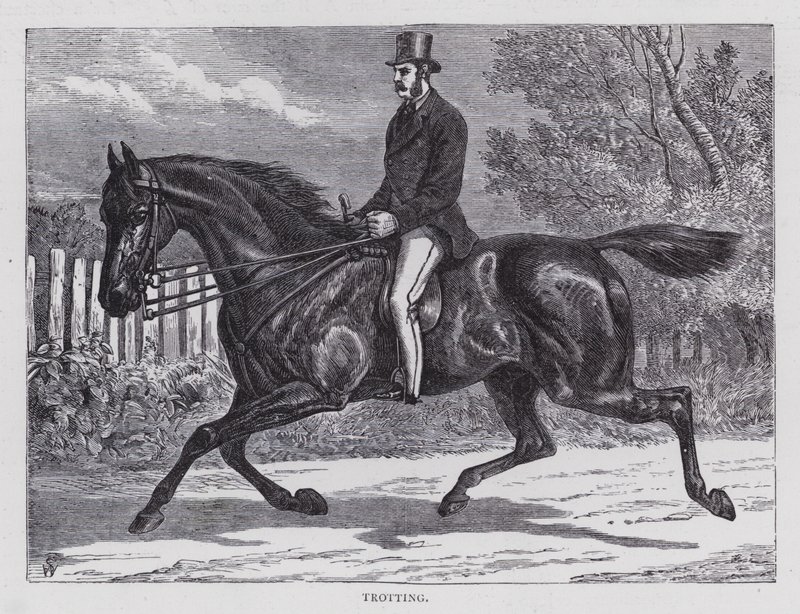 Trotting (gravação) de English School