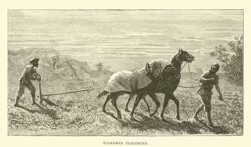 Turkoman arando de English School