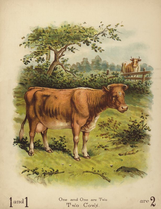 Duas vacas (cromolitho) de English School