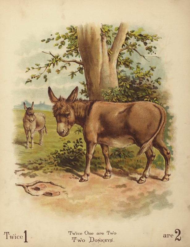 Dois burros (cromolitografia) de English School