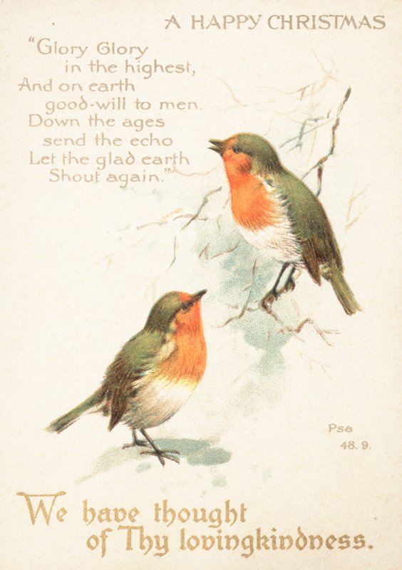 Dois piscos de peito vermelho na neve, cartão de de English School