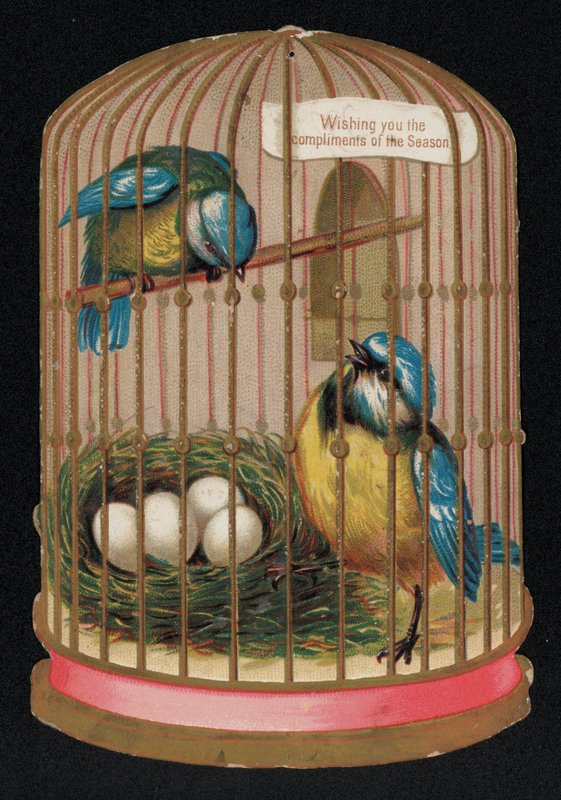 Duas mamas azuis numa gaiola, cartão de boas festas de Natal (chromolitho) de English School