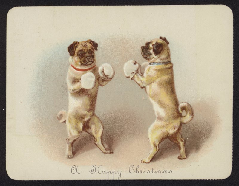 Dois cães boxeando (chromolitho) de English School