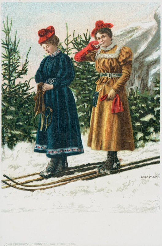 Duas mulheres, esquis, como, eles, esquiar, baixo, um, paisagem nevado de English School
