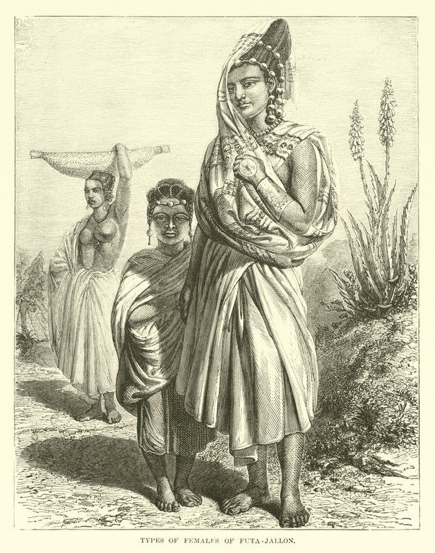 Tipos de fêmeas de Futa-Jallon de English School