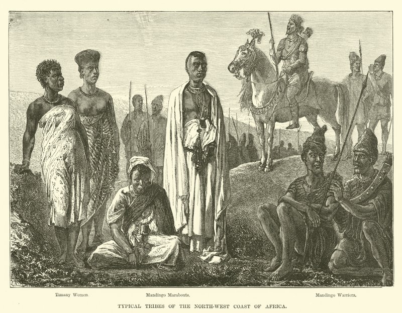 Tribos típicas da costa noroeste da África de English School