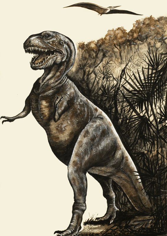 Tiranossauro Rex de English School