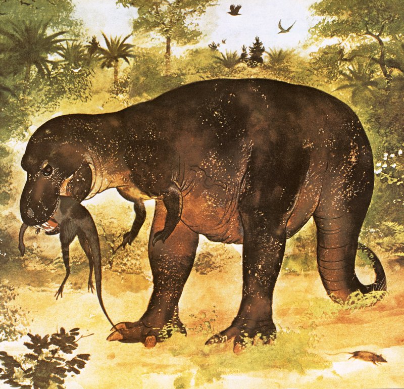 Tiranossauro comendo um Struthiomimus de English School