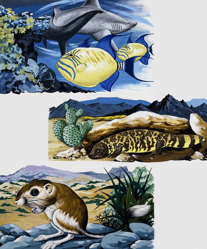 Criaturas subaquáticas e mouse de English School