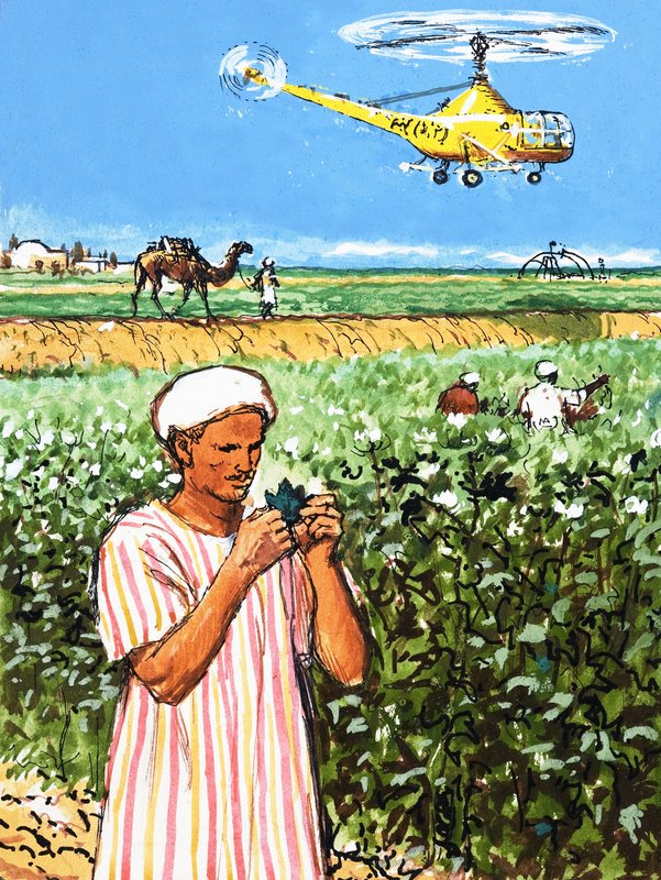 Agricultor árabe não identificado com camelo e helicóptero no fundo de English School