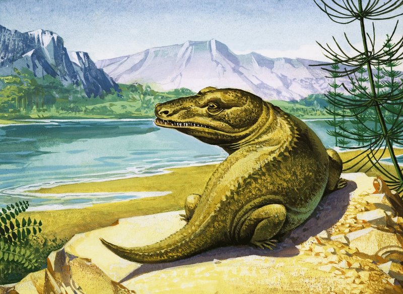 Dinossauro-como crocodilo não identificado de English School