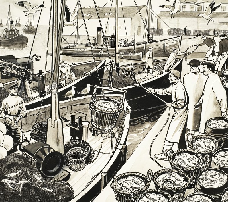 Porto de pesca não identificado com peixe do cais de English School