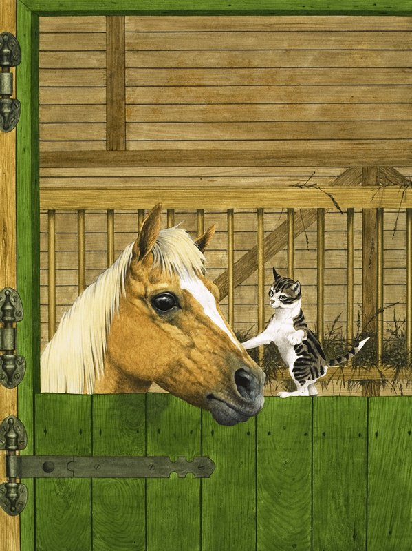 Cavalo não identificado e gatinho brincalhão de English School