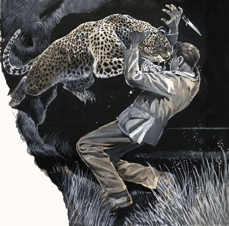 Homem não identificado sendo atacado por um leopardo de English School