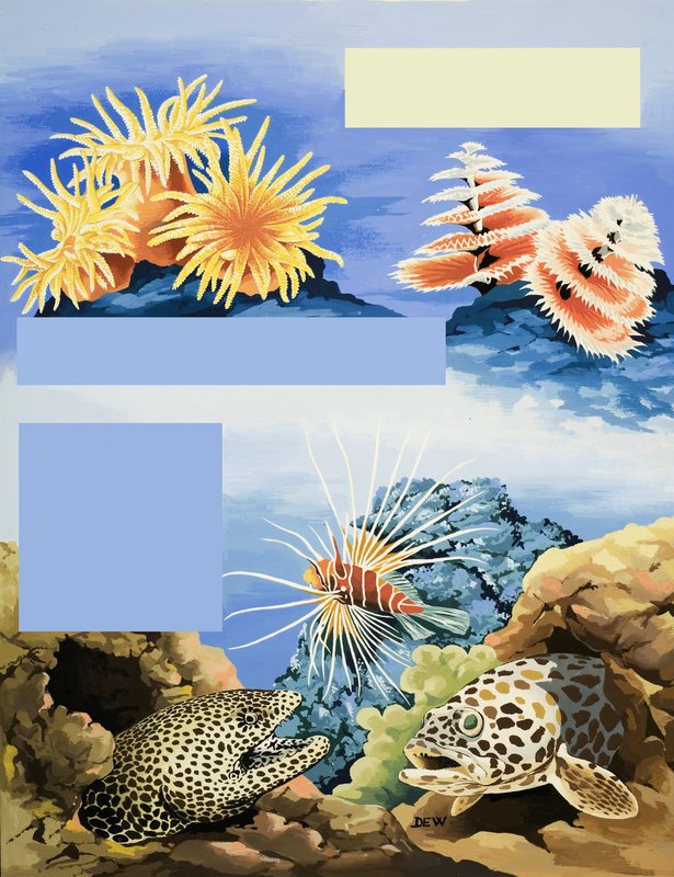 Fauna e flora subaquáticas não identificadas de English School