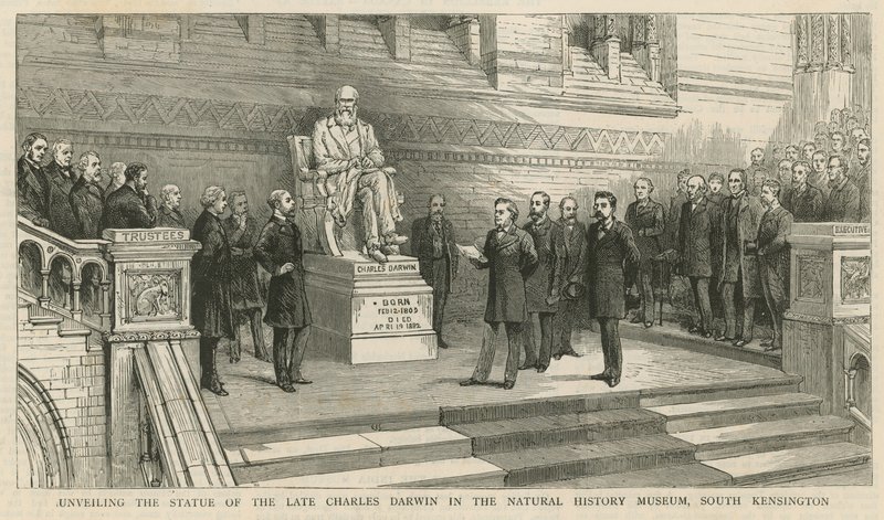Desvelando a estátua do falecido Charles Darwin no Museu de História Natural, South Kensington de English School