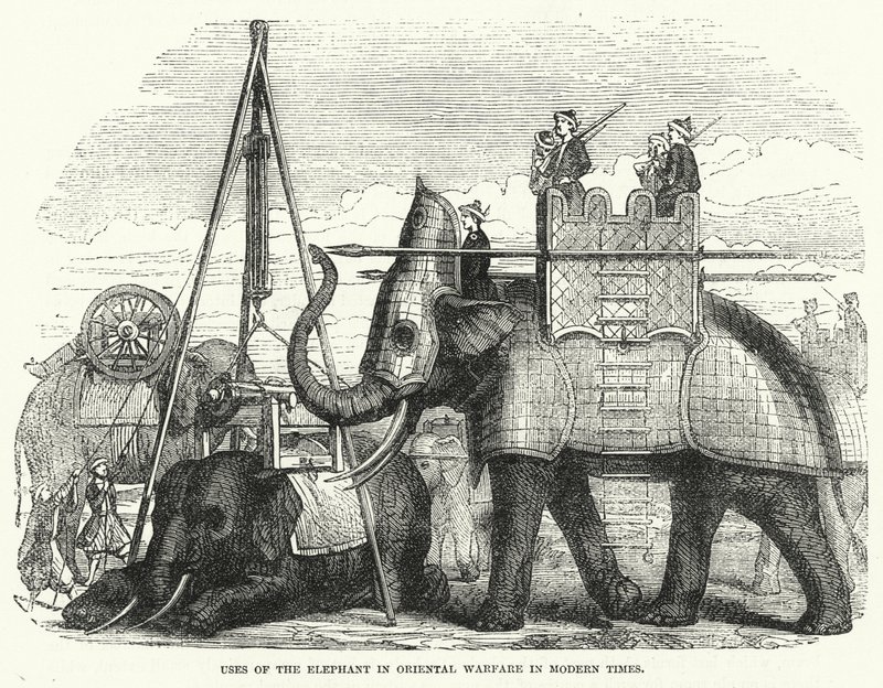 Usos do elefante na guerra oriental nos tempos modernos (gravura) de English School