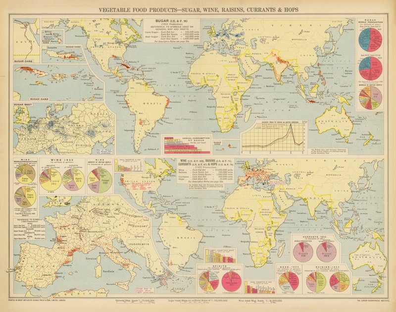 Produtos alimentares vegetais, açúcar, vinho, passas de uva, groselhas e lúpulo (litografia a cores) de English School