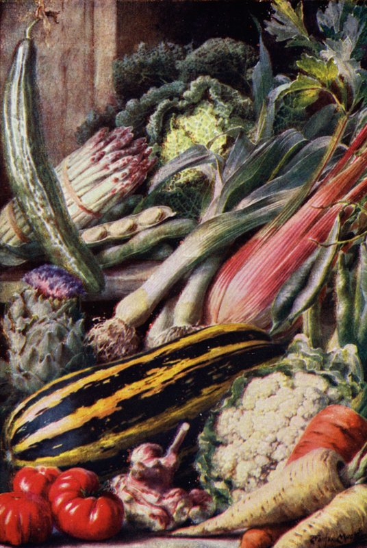 Legumes (lito colorido) de English School