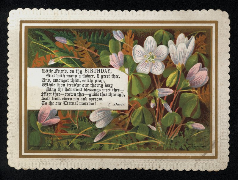 Verso de F Davis e flores, cartão de felicitações de aniversário (chromolitho) de English School