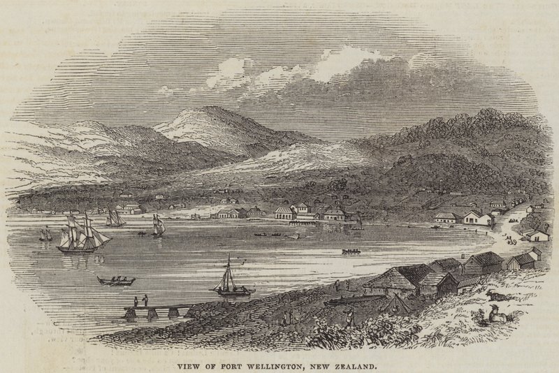 Vista de Port Wellington, Nova Zelândia (gravura) de English School