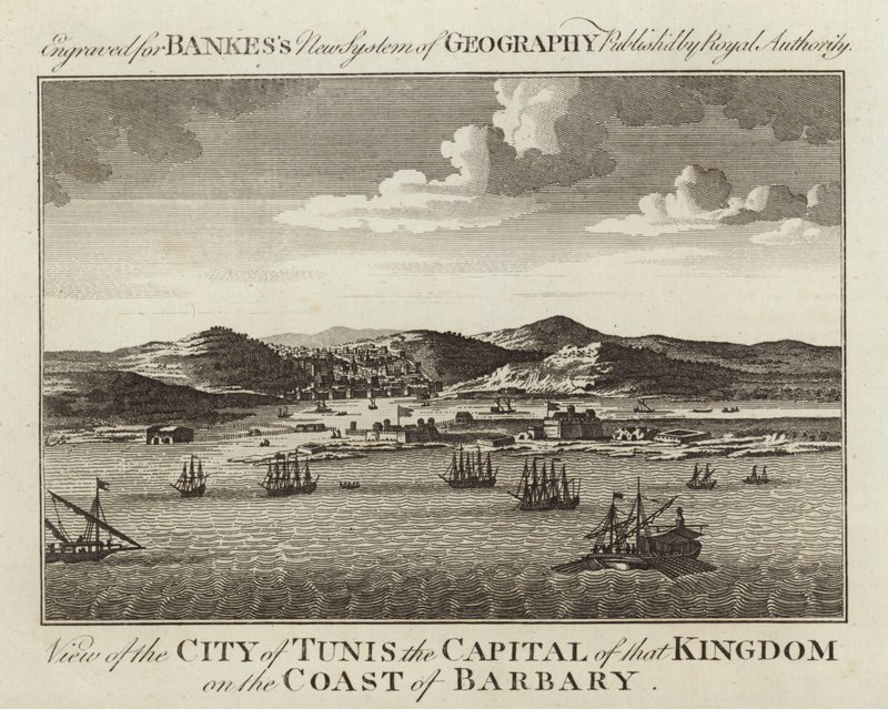Vista, de, cidade, de, tunis de English School