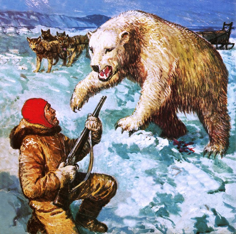 Vilhjalmar Stefansson sendo atacado por um bea polar de English School
