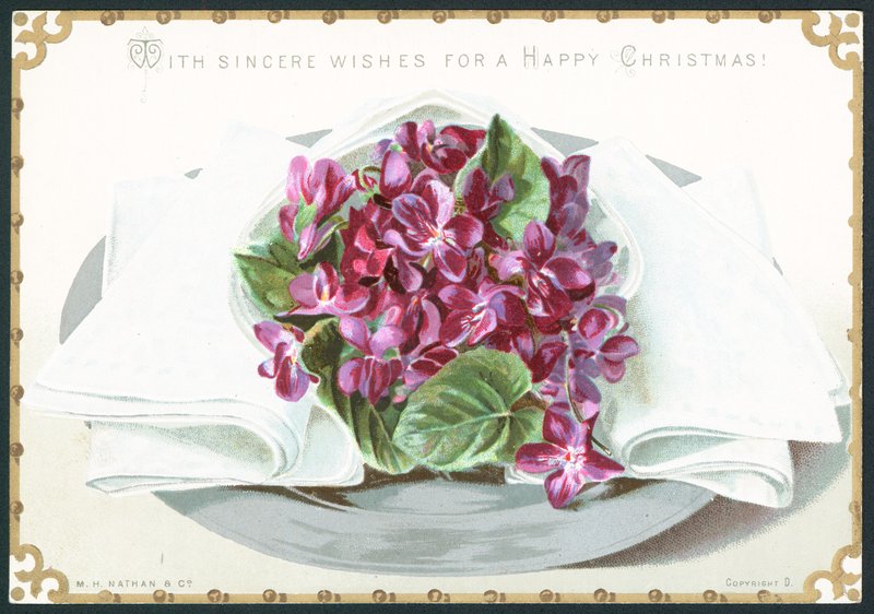 Violetas, cartão de Natal de English School