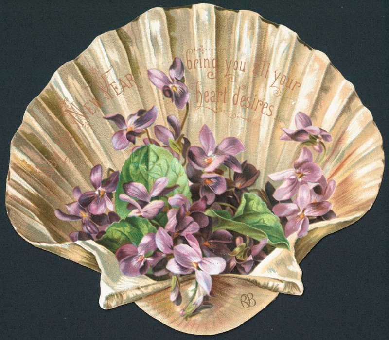 Violetas em Clam Shell, Cartão de Ano Novo de English School