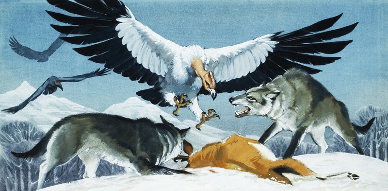 Abutre e lobos de English School
