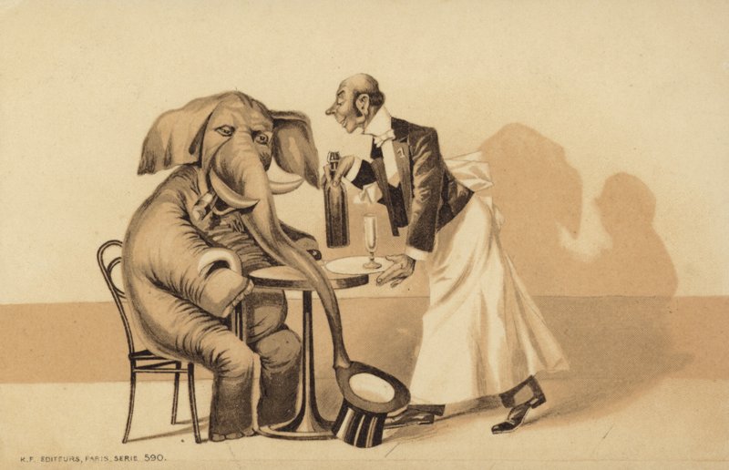 Garçom serve um elefante de English School
