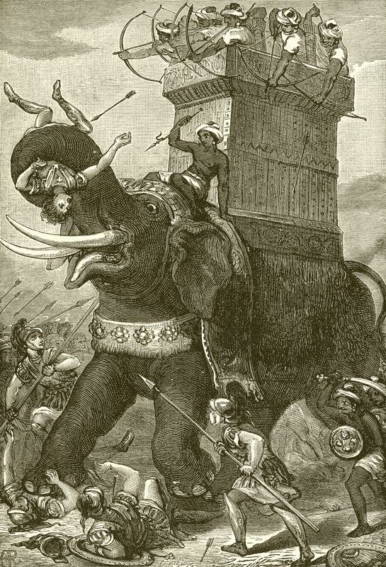 Elefante de guerra no exército do rei Dario de English School