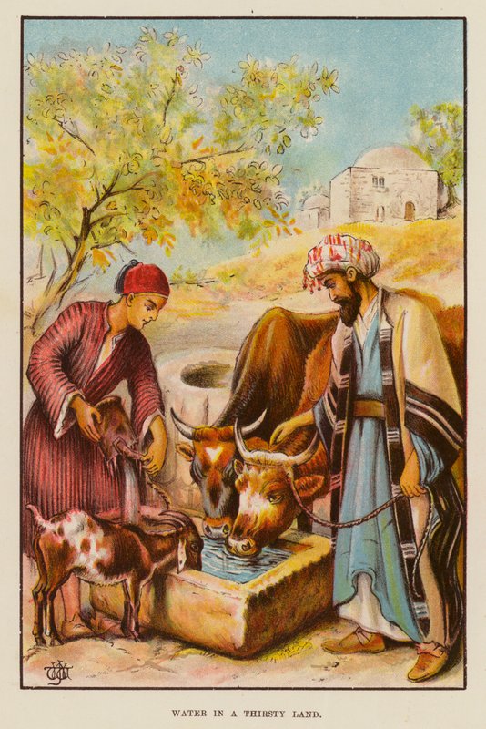 Água em uma Terra Sedenta (lito colorido) de English School