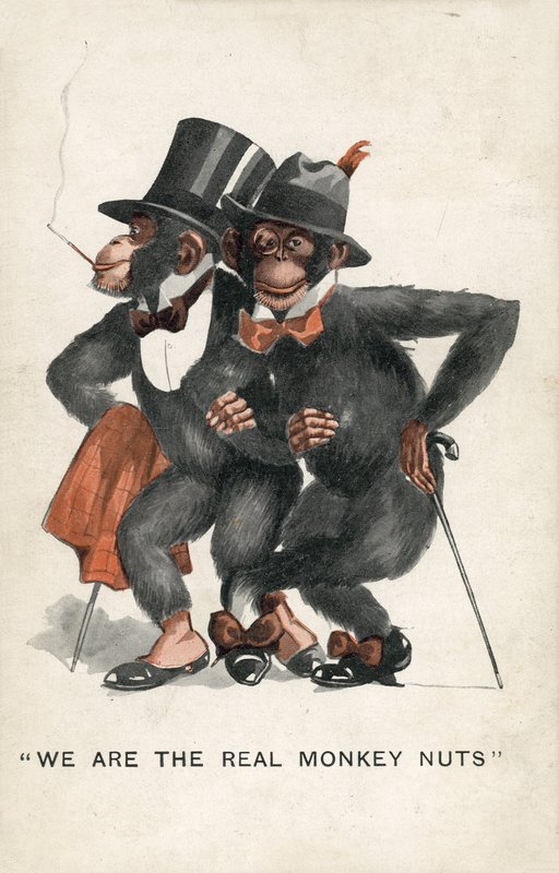 Nós somos os verdadeiros Monkey Nuts (cor litho) de English School
