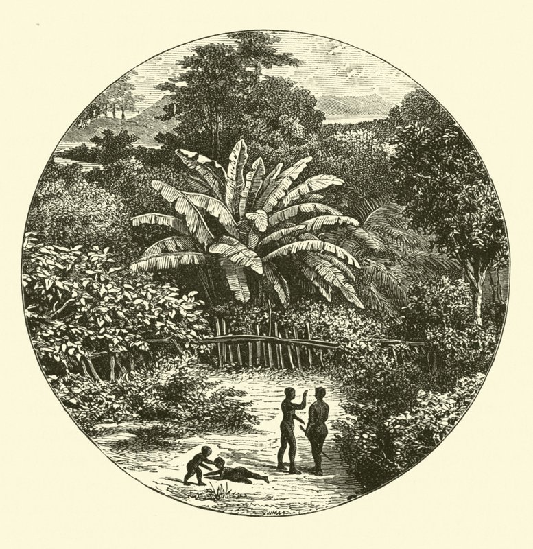 África Ocidental de English School
