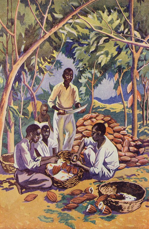 África Ocidental, Abertura de cápsulas de cacau (litografia a cores) de English School